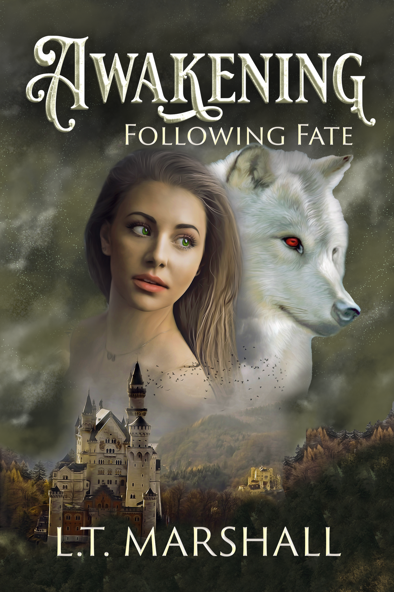 Awakening- Following Fate (Book 2)