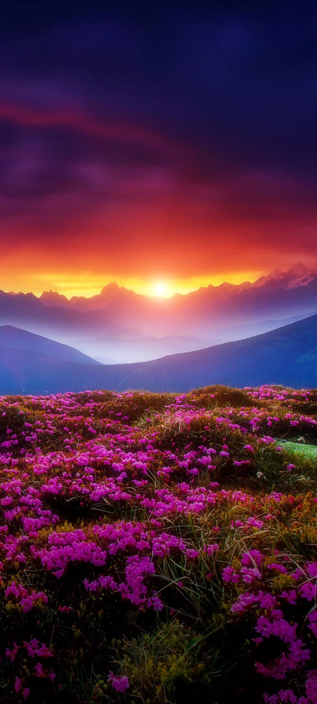 Blossoming Spring Days